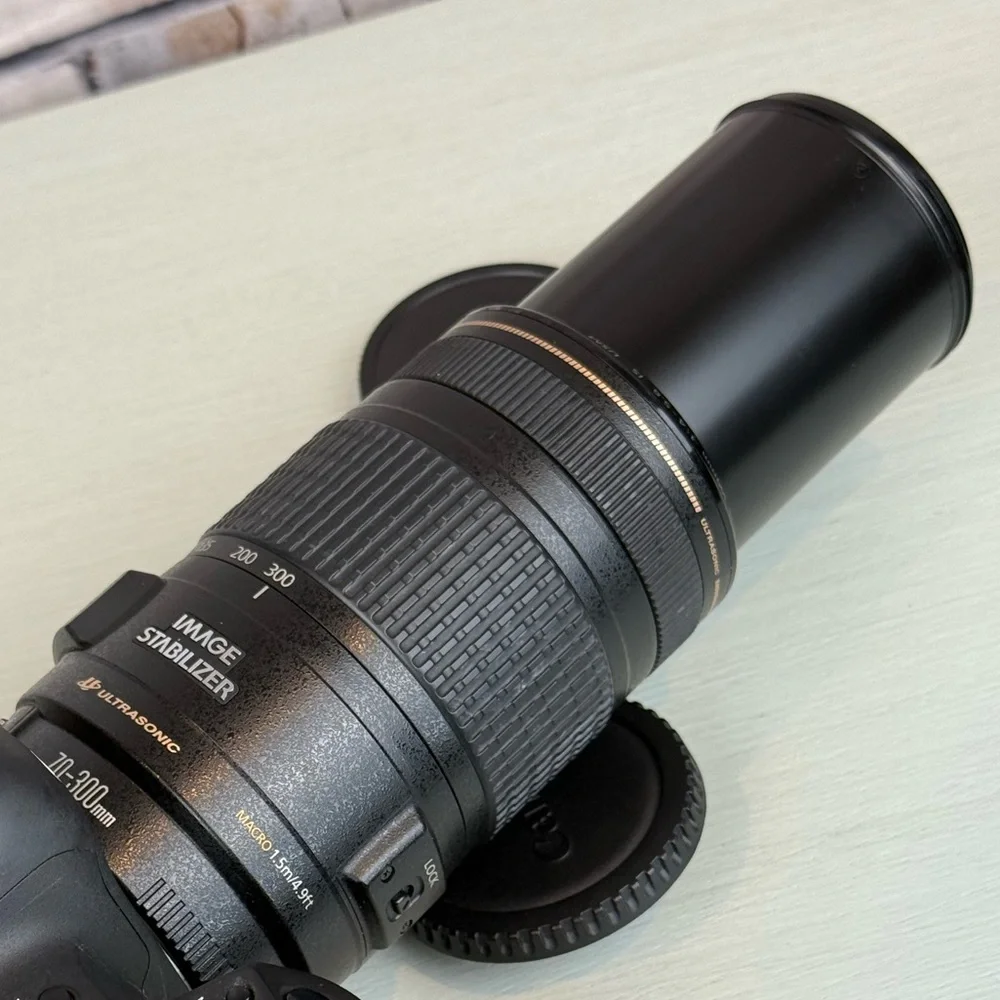 Canon EF 70-300mm f/4-5.6 IS USM Telephoto Zoom Lens